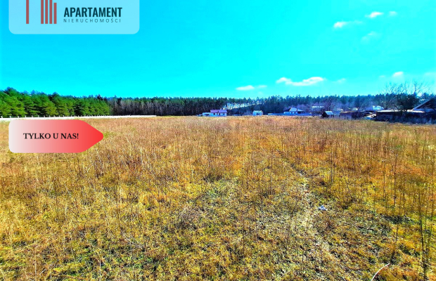 Wałdowo Królewskie 1000 m2 las cisza spokój