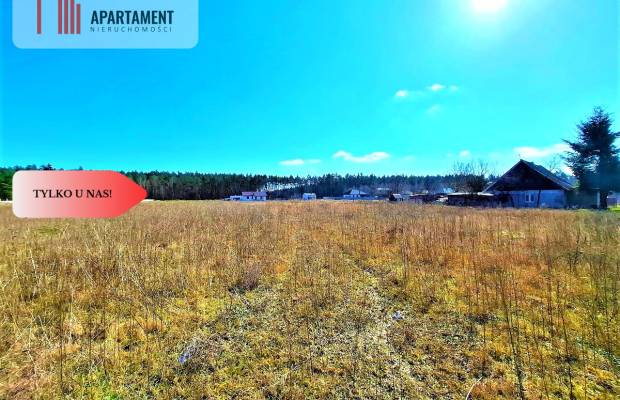 Wałdowo Królewskie 1000 m2 las cisza spokój