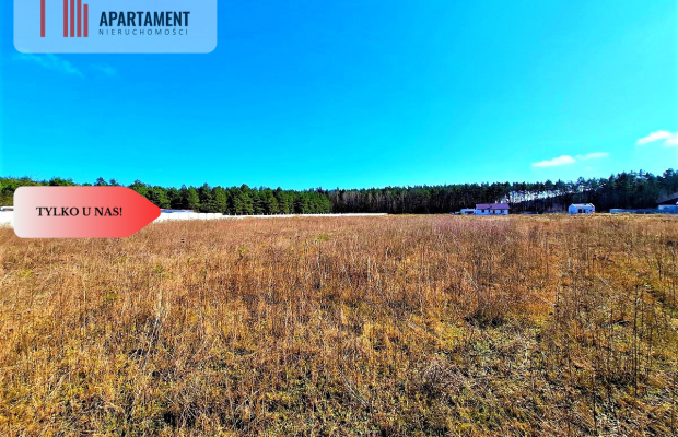 Wałdowo Królewskie 1000 m2 las cisza spokój