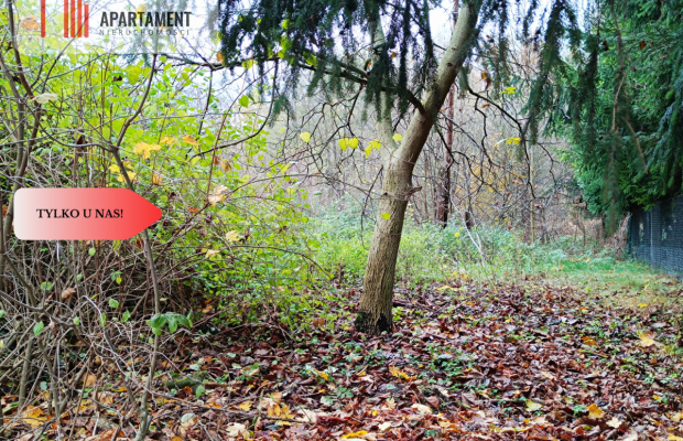 Działka  z pozwoleniem budowy domu opieki.