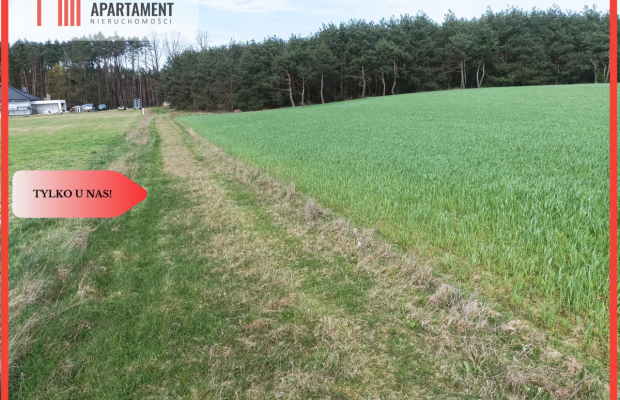 TYLKO U NAS !!! PIĘKNA OTOCZONA BORAMI DZIAŁKA !