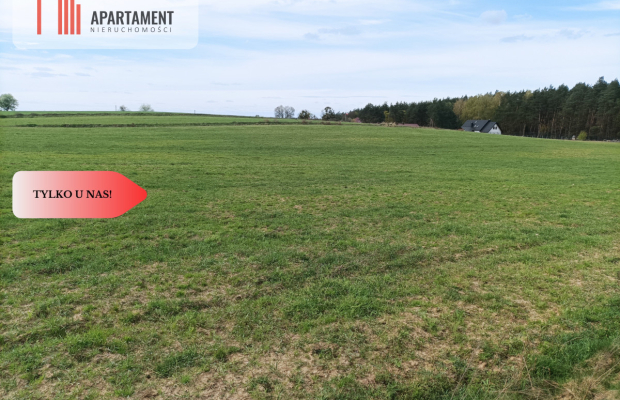 TYLKO U NAS !!! PIĘKNA OTOCZONA BORAMI DZIAŁKA !