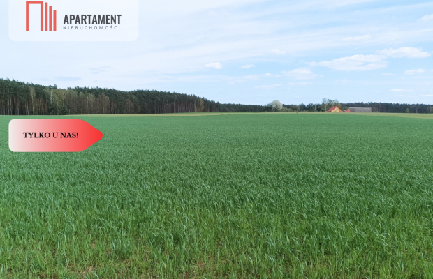 TYLKO U NAS !!! PIĘKNA OTOCZONA BORAMI DZIAŁKA !