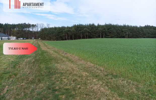 TYLKO U NAS !!! PIĘKNA OTOCZONA BORAMI DZIAŁKA !