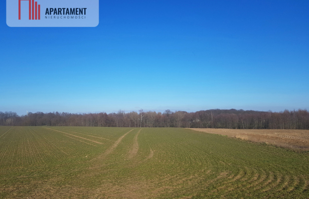 DZIAŁKA BUDOWLANA tereny w okolicy "Natura 2000"