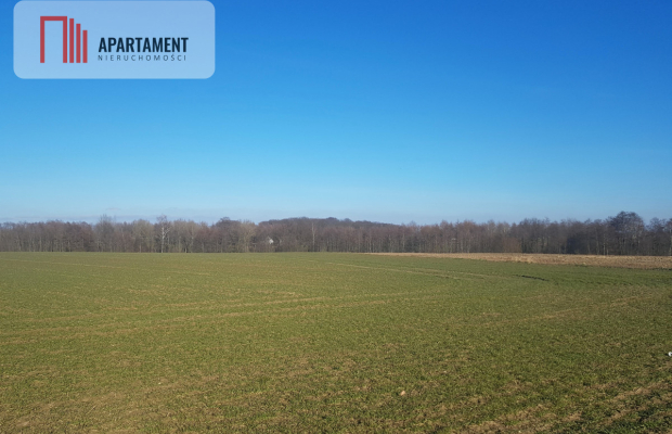 DZIAŁKA BUDOWLANA tereny w okolicy "Natura 2000"