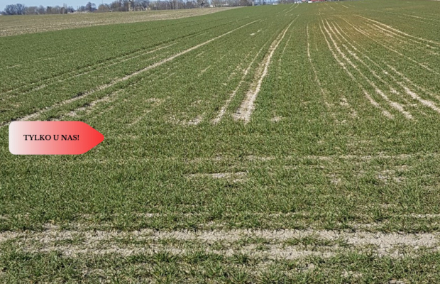 Tylko u Nas! Działka w gm. Dobrcz!