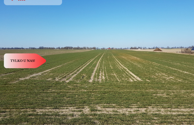 Tylko u Nas! Działka w gm. Dobrcz!