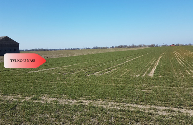 Tylko u Nas! Działka w gm. Dobrcz!