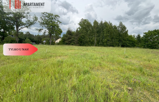 Działka Stary Bukowiec