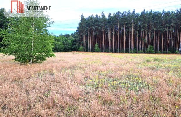 Działka zabudowana, mieszkaniowa