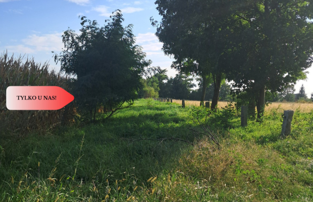 Duże działki budowlane w Stobnie