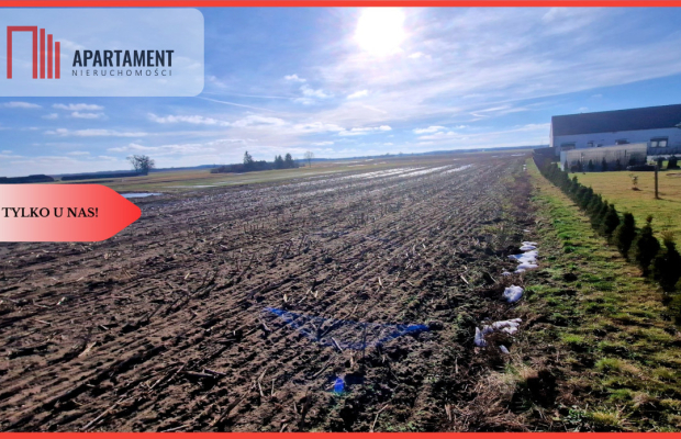TYLKO U NAS! Ostatnia tak tania działka w Sępólnie