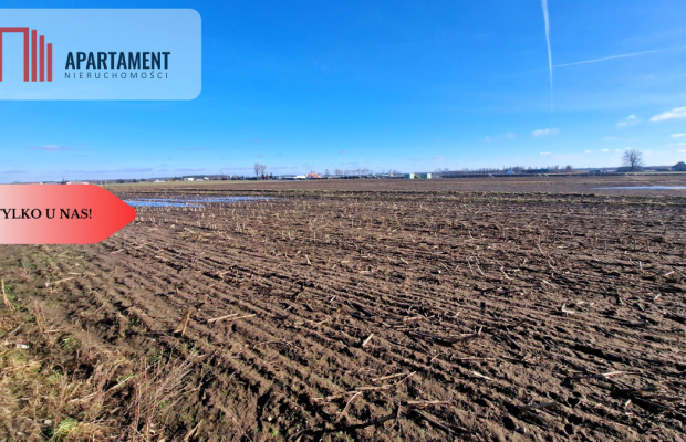 TYLKO U NAS! Ostatnia tak tania działka w Sępólnie
