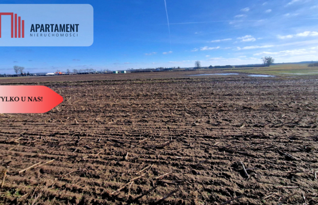 TYLKO U NAS! Ostatnia tak tania działka w Sępólnie