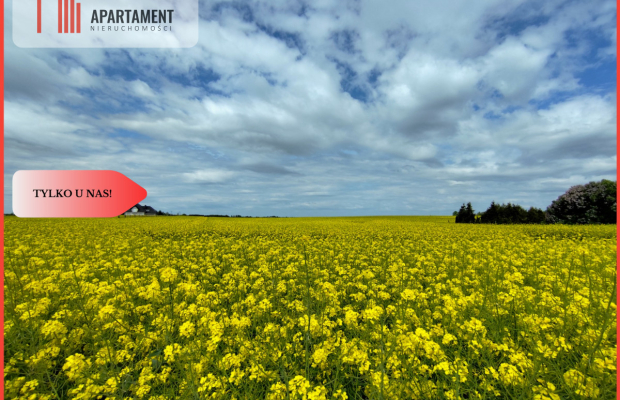 Tylko u Nas! Działka budowlana w super cenie!