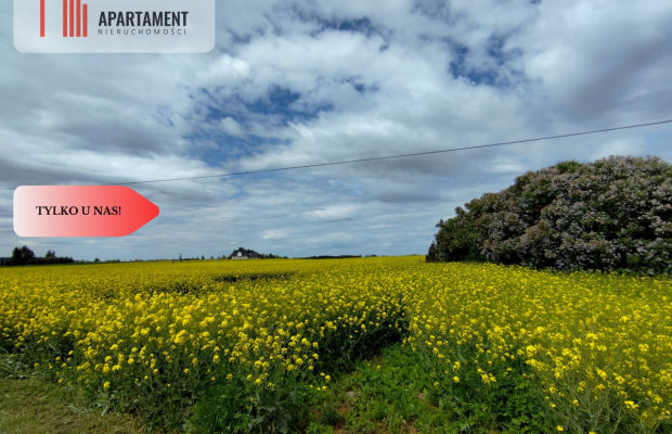 Tylko u Nas! Działka budowlana w super cenie!