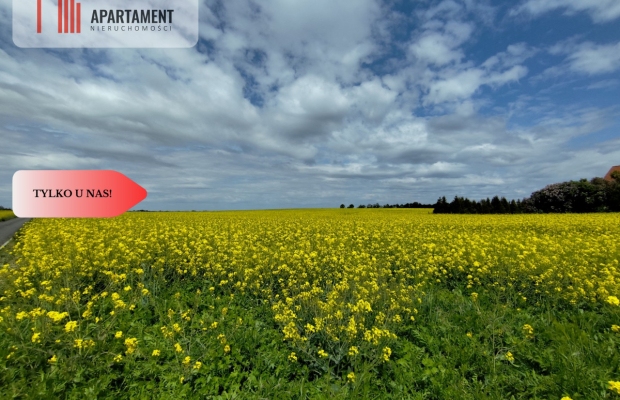 Tylko u Nas! Działka budowlana w super cenie!