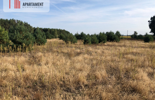 Tylko u nas !! Działka na osiedlu pod lasem !!