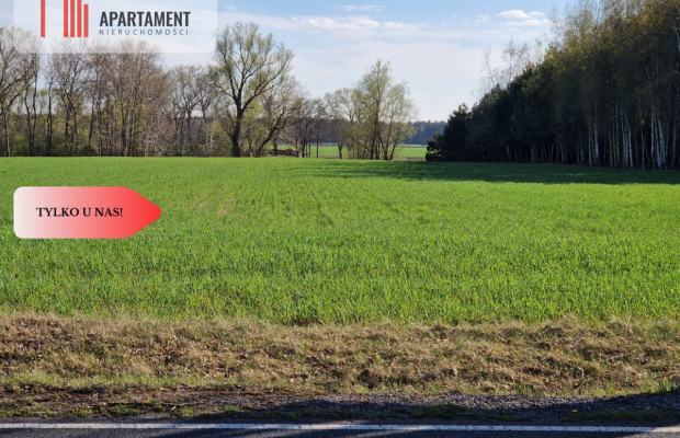 Działki budowlane niedaleko jeziora