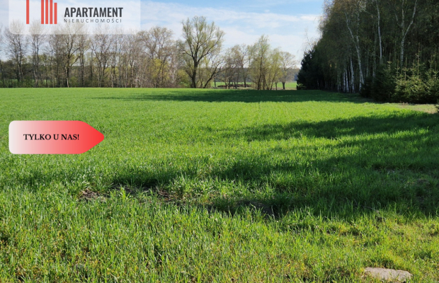 Działki budowlane niedaleko jeziora