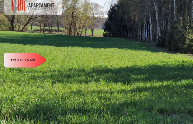 Działki budowlane niedaleko jeziora