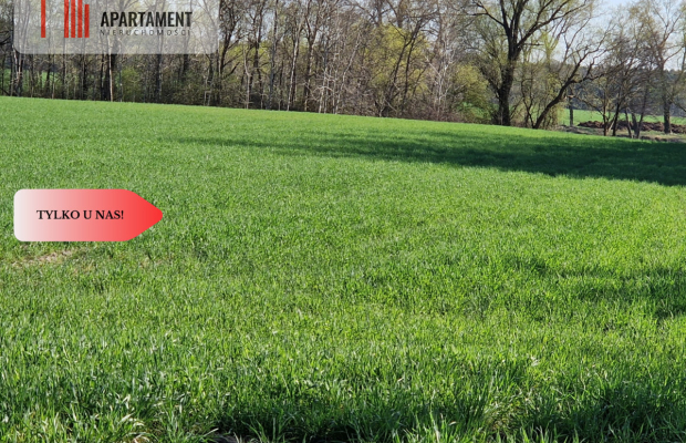 Działki budowlane niedaleko jeziora