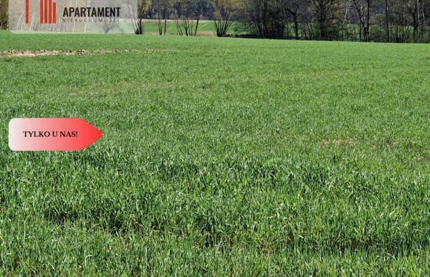 Działki budowlane niedaleko jeziora