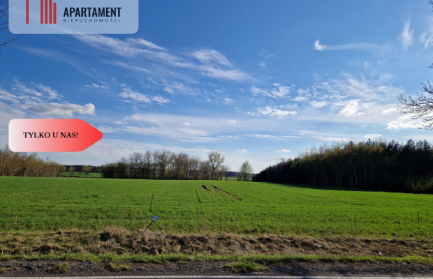 Działki budowlane niedaleko jeziora