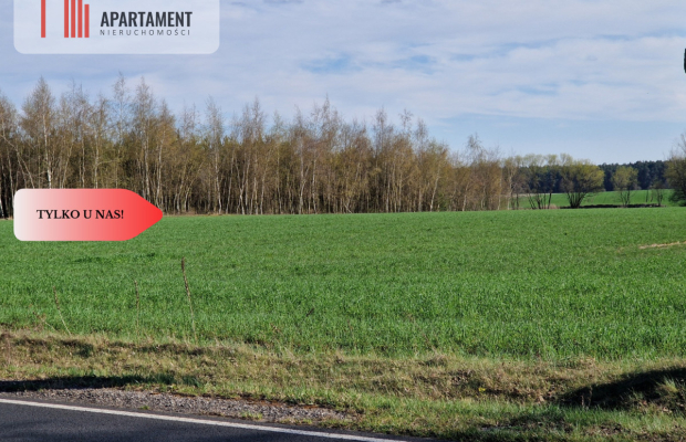 Działki budowlane niedaleko jeziora