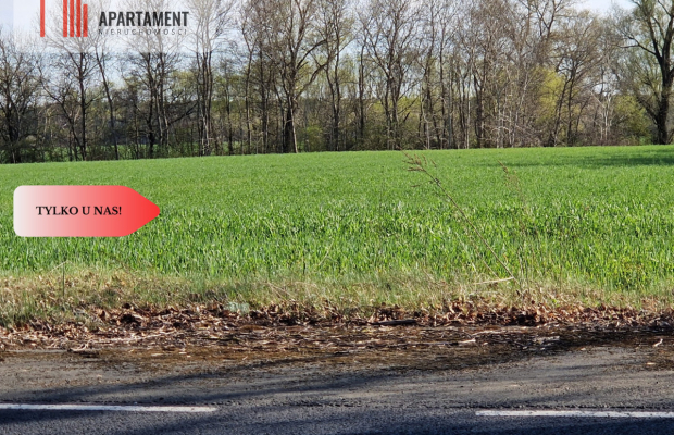 Działki budowlane niedaleko jeziora