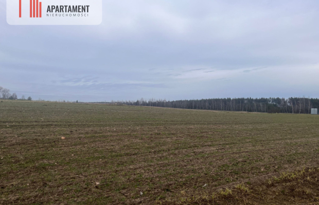 Działki z WZ - Dom jednorodzinny