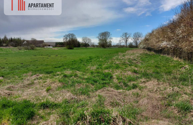 6 tyś m2 w Małych Rudach, raj dla fanów przyrody