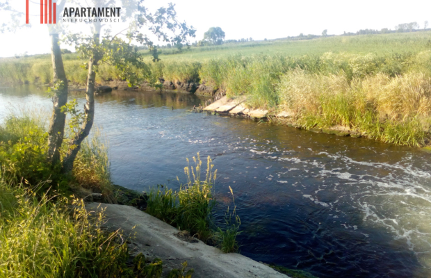 6 tyś m2 w Małych Rudach, raj dla fanów przyrody