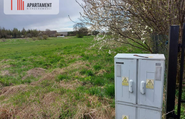 6 tyś m2 w Małych Rudach, raj dla fanów przyrody