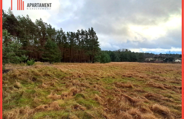 Super działka przy lesie w Drzewcach
