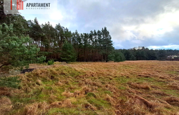 Super działka przy lesie w Drzewcach