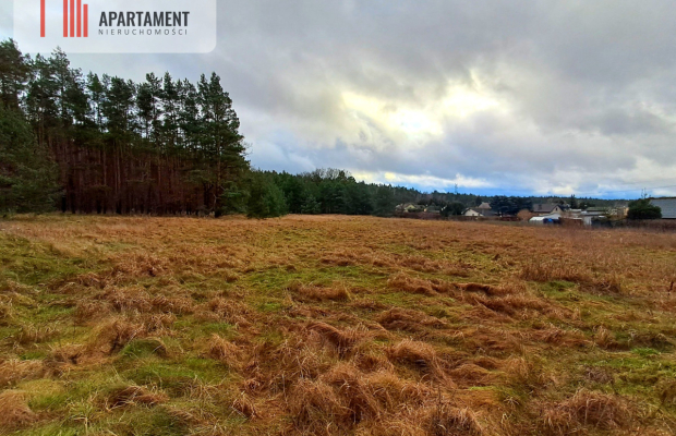 Super działka przy lesie w Drzewcach