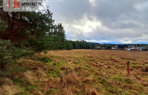 Super działka przy lesie w Drzewcach