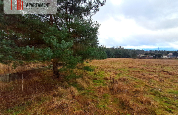 Super działka przy lesie w Drzewcach