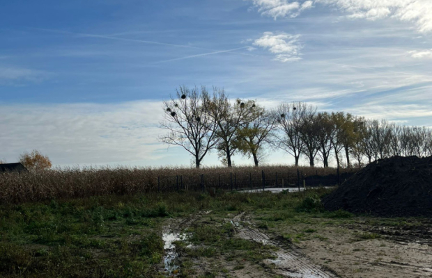 Działki - droga asfaltowa, media!