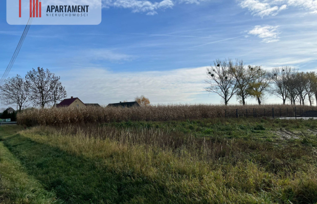 Działki - droga asfaltowa, media!