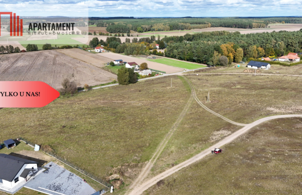 * działka z WZ Gąbin - Szubin