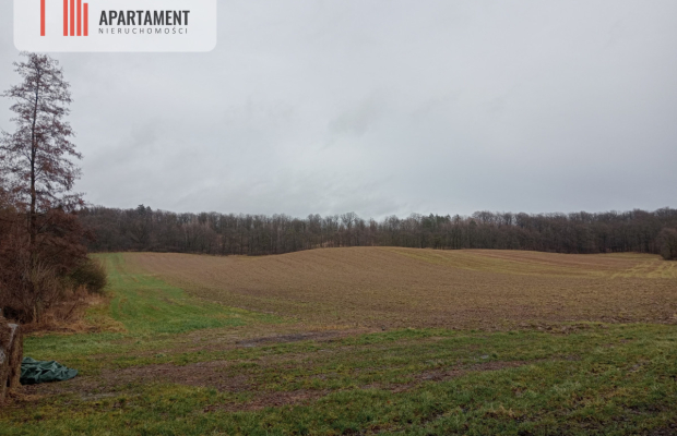 15 ha/działka inwestycyjna/ok. Oborniki Śląskie