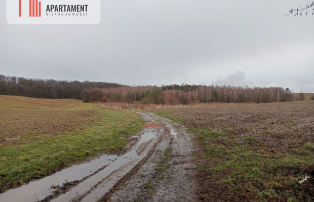 15 ha/działka inwestycyjna/ok. Oborniki Śląskie