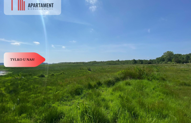 Tylko u Nas! Wyjątkowa Działka przy Rzece Dziwnej!