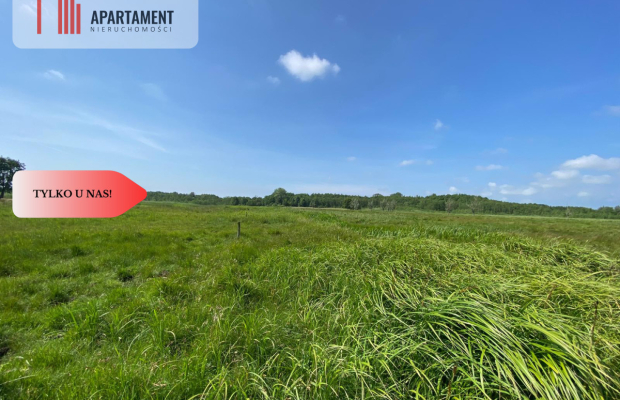 Tylko u Nas! Wyjątkowa Działka przy Rzece Dziwnej!