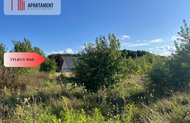 Działka budowlana w Lisim Ogonie