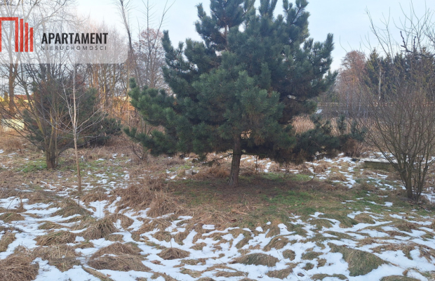 Działka z WZ i stawem