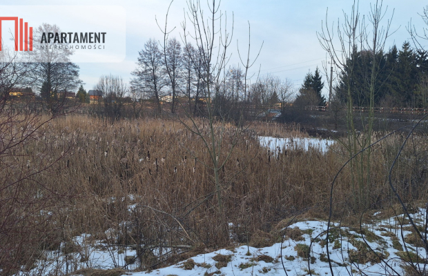 Działka z WZ i stawem